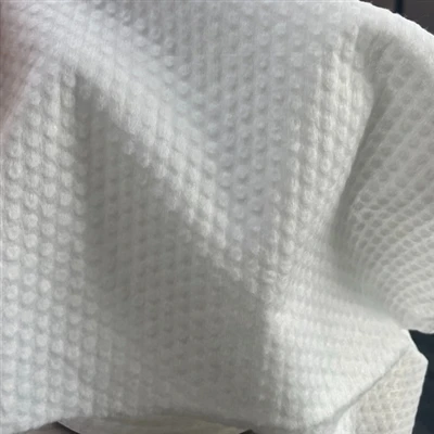 2025 Top di bellezza sostenibile di 2025: asciugamani di texture perla biodeg...